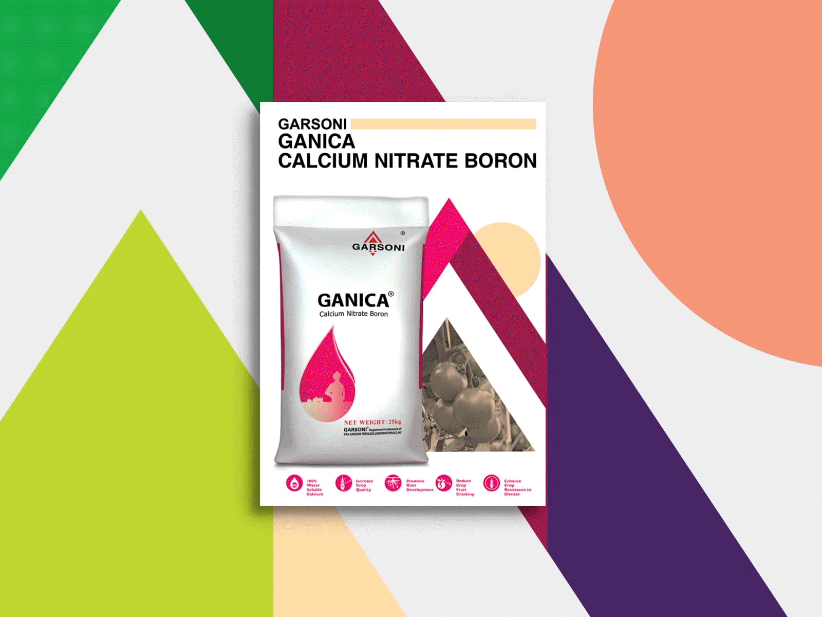 Garsoni flyer design with new art direction for the brand featuring bold graphics and product packaging and crafted icons 
