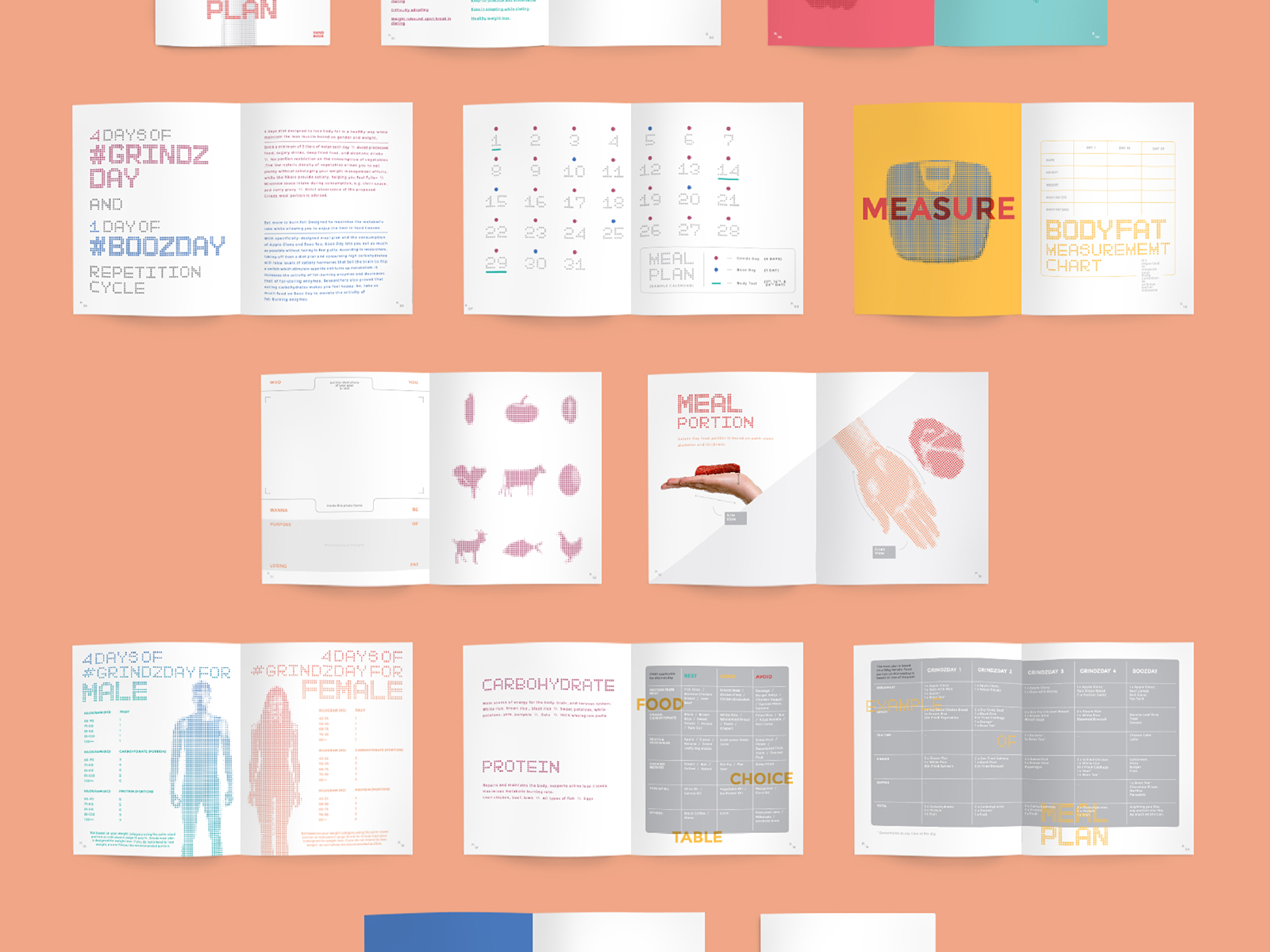 Grindz supplement brand collaterals design of guidebook inner pages of information of nutrition and weight loss alongside schedule for food consumption