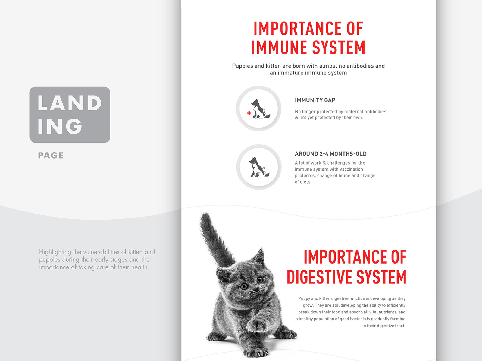 Royal Canin birth and growth campaign microsite landing page one scroll design highlights important factors of a kitten and puppy growth stage