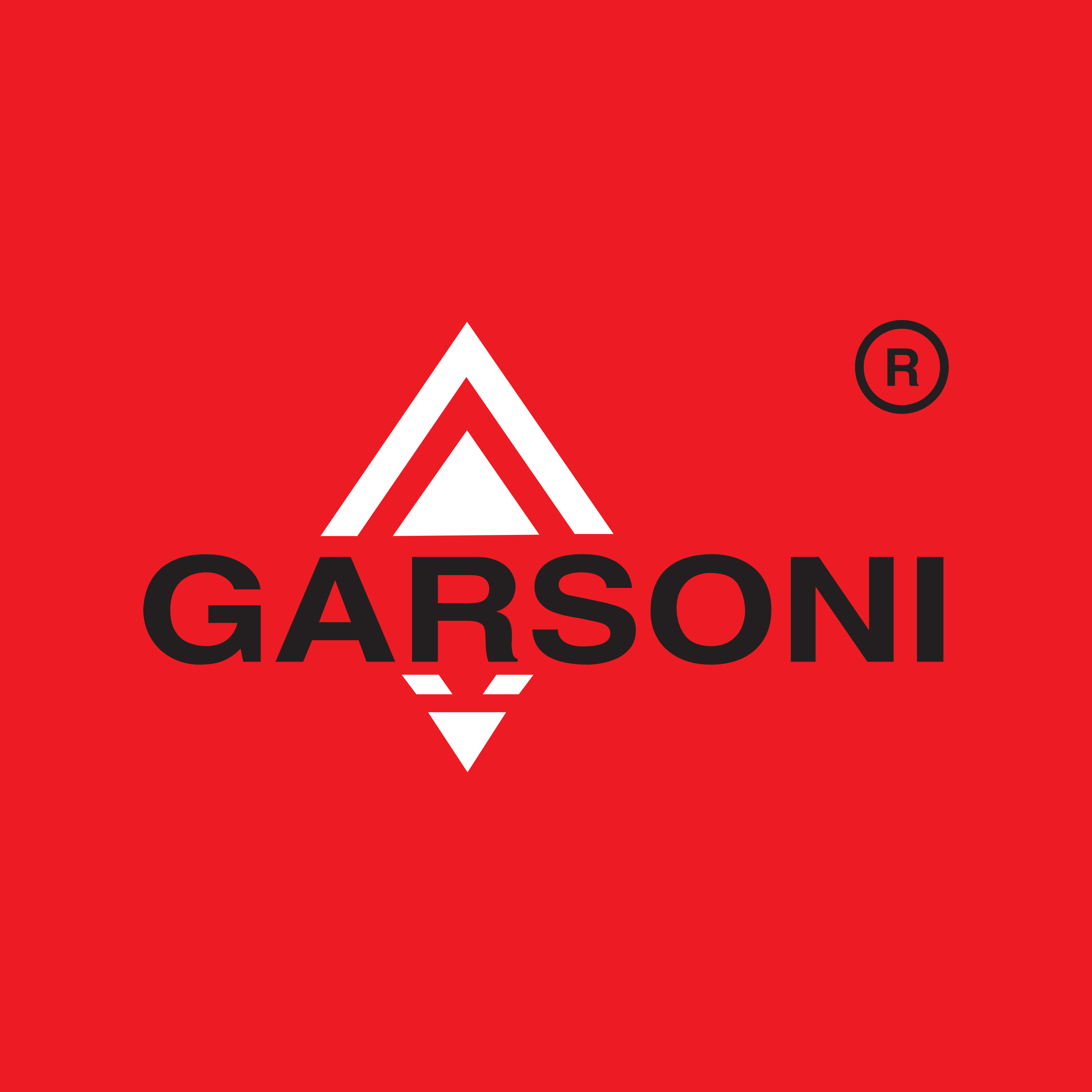 Garsoni Logo